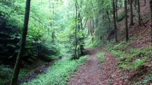 Blick auf die Wanderstrecke entlang des Eselsteiggrabenbachs 